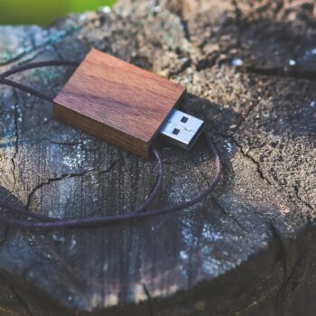 flash drive sitting on a log