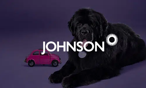 Johnson Insurance