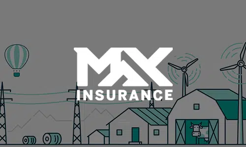 Max Insurance