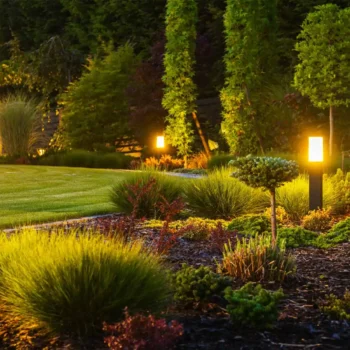 yard and garden at night lit up with garden lights