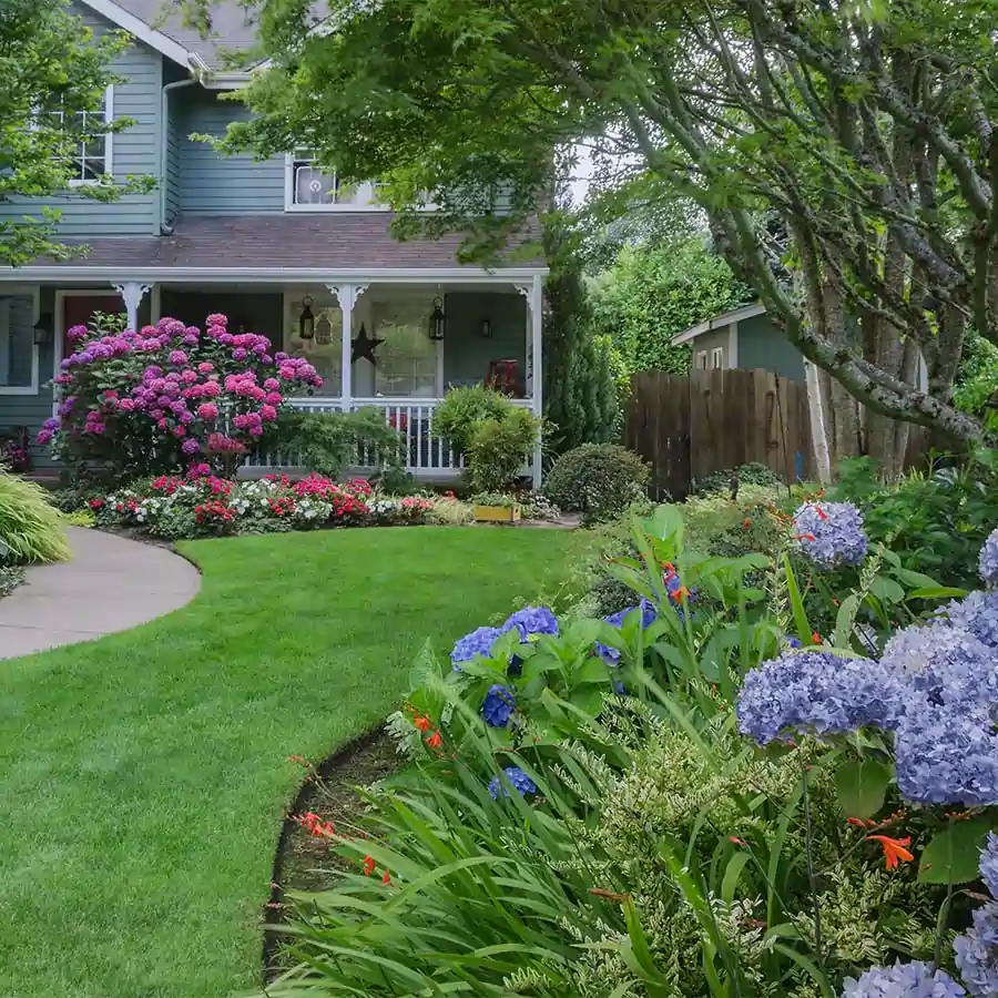 Landscaping in residential home.