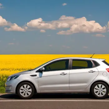 Hatchback car parked by a canola field.