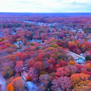 Roofs of houses during the fall.