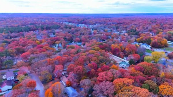 Roofs of houses during the fall.